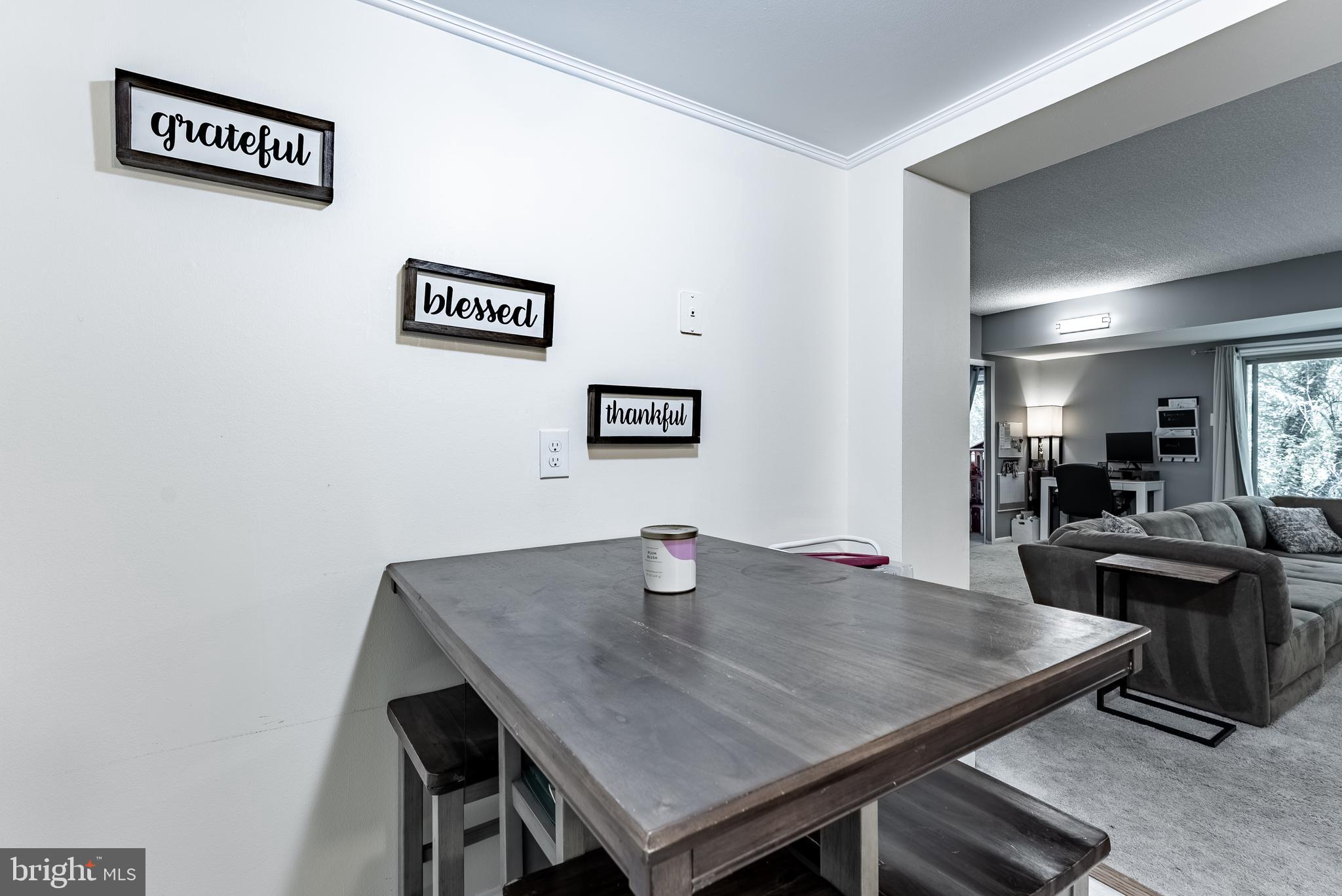 OCCOQUAN RIDGE CONDO - Residential