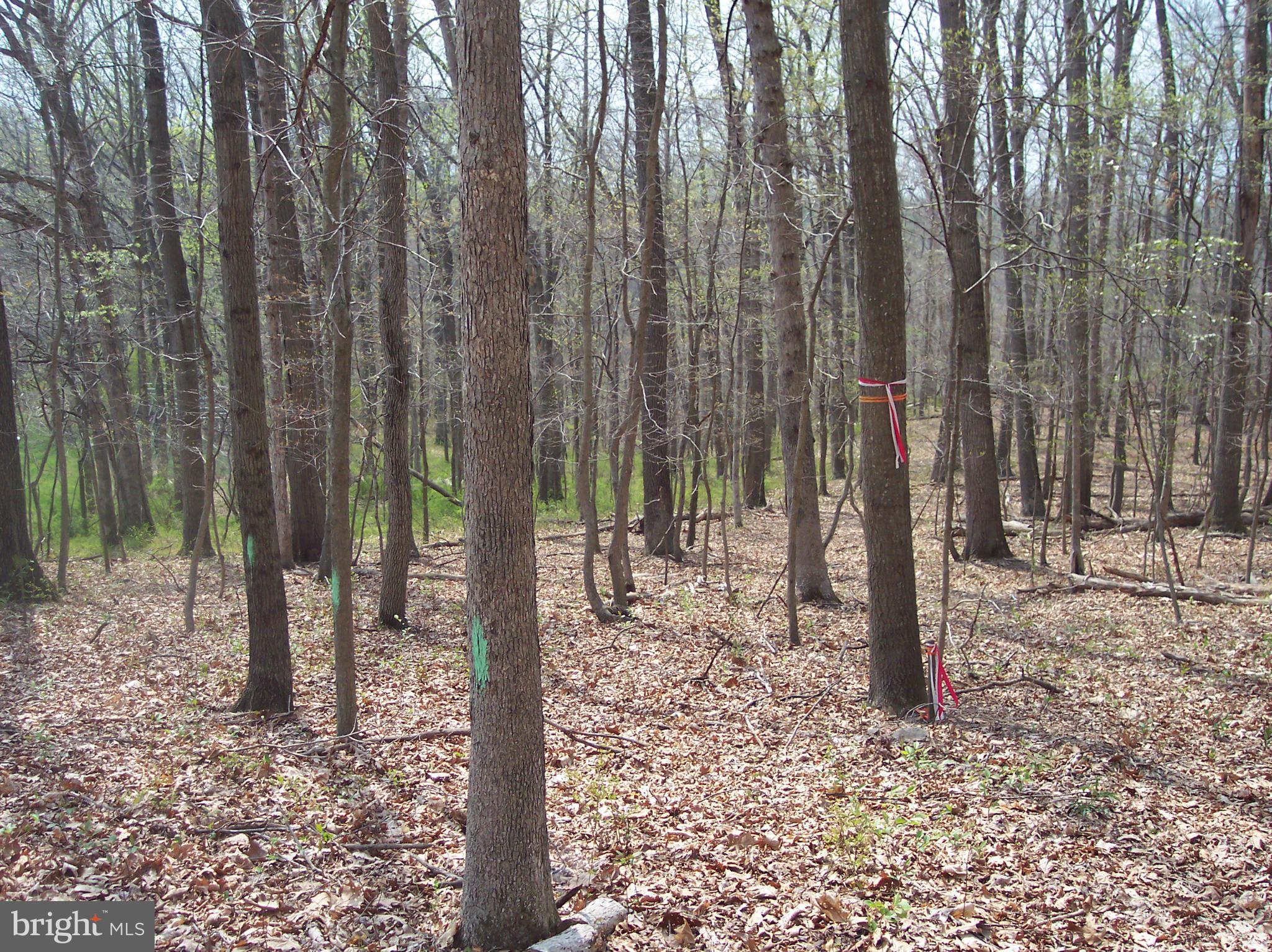 NONE AVAILABLE - Land