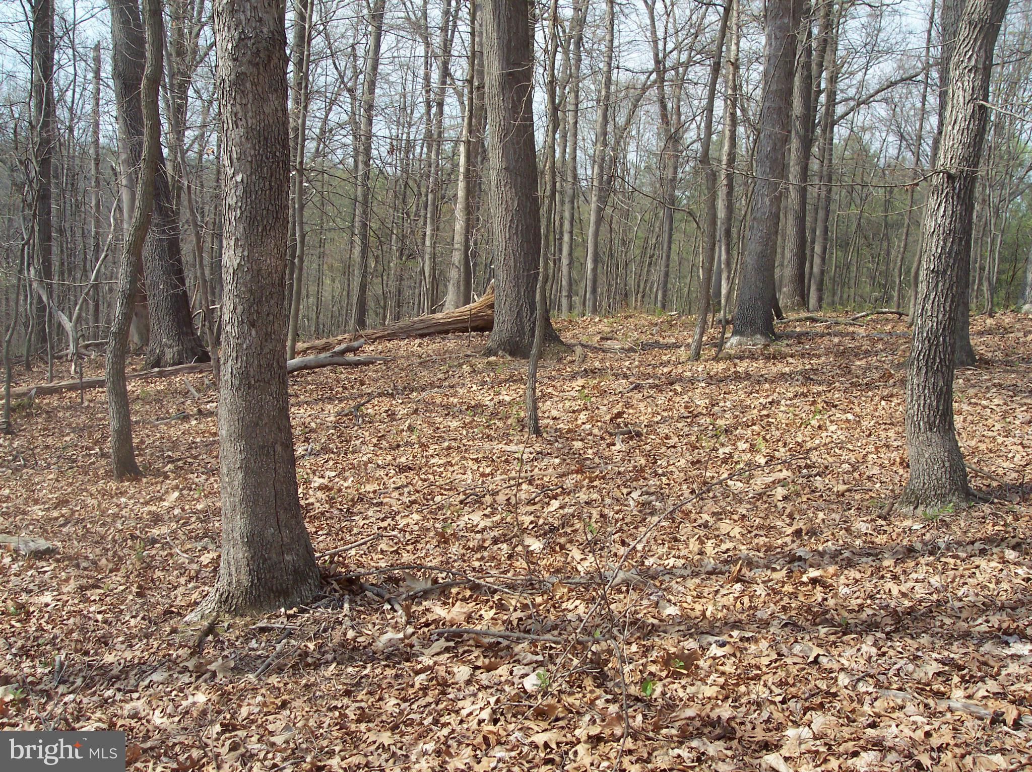 NONE AVAILABLE - Land