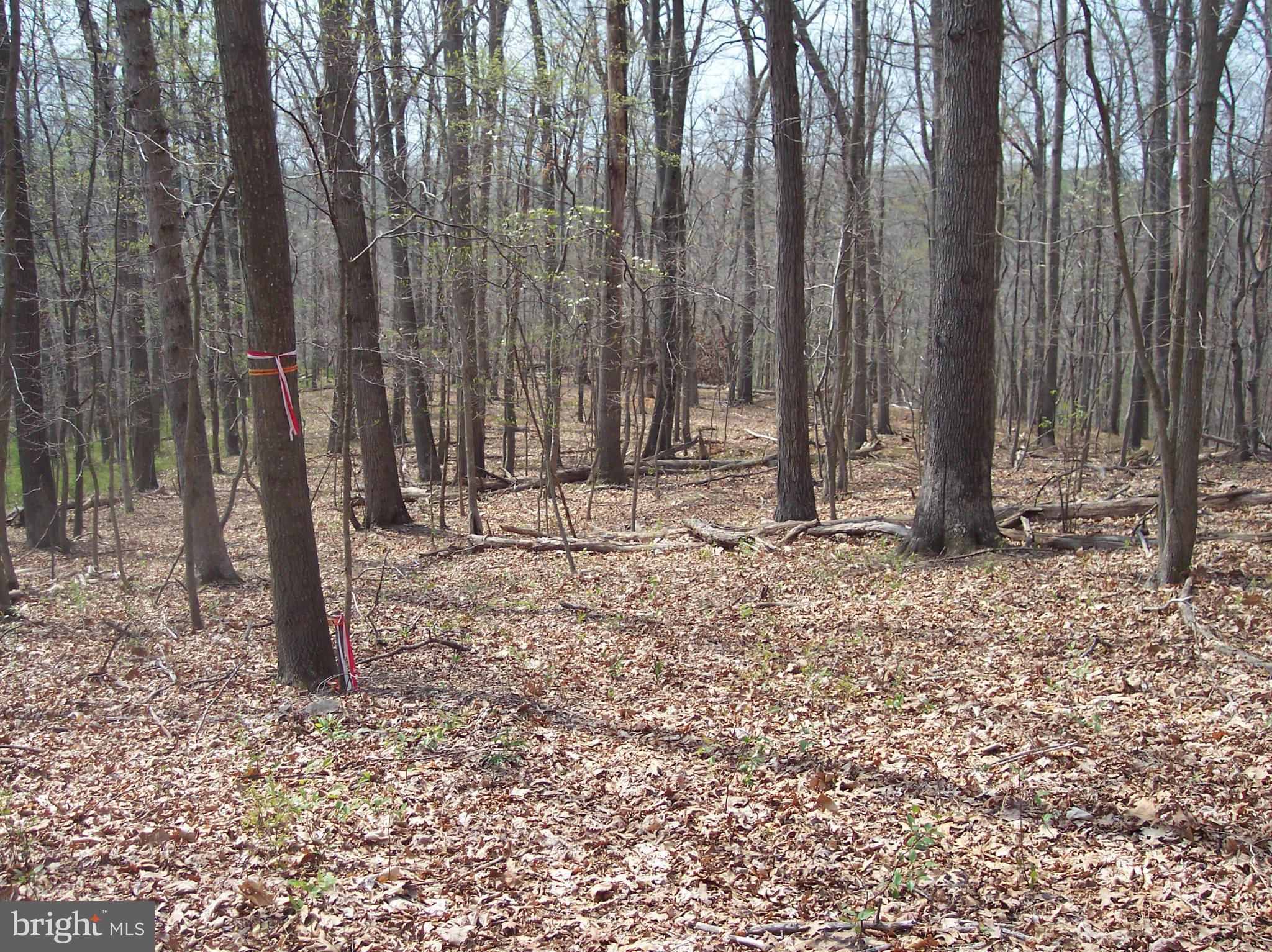 NONE AVAILABLE - Land