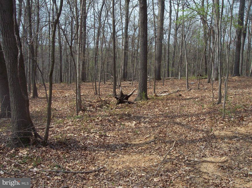 Lightly wooded, level 3 acre lot in Sykesville, MD.