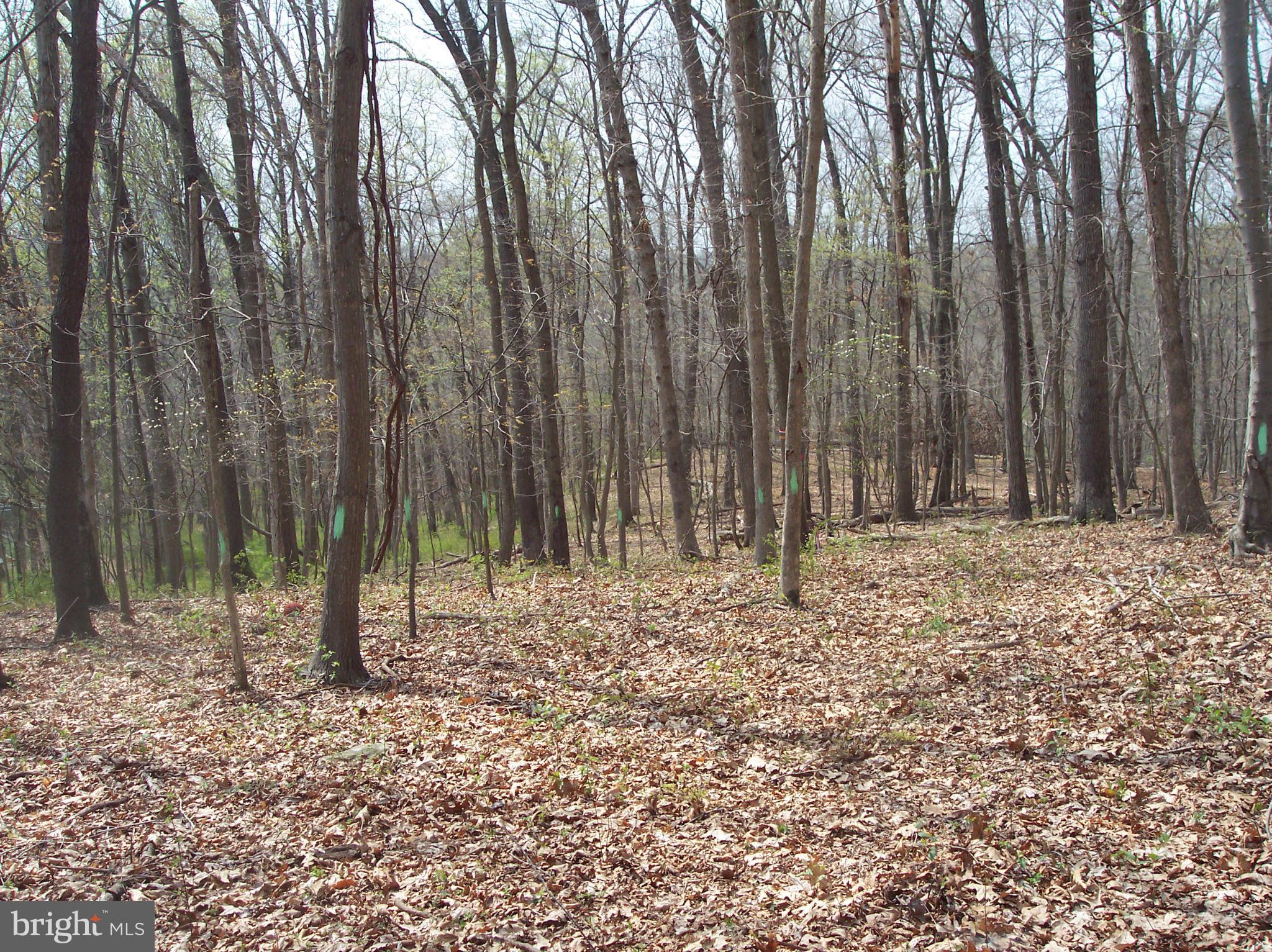 NONE AVAILABLE - Land