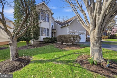 Homes For Sale - 19829 Bethpage Court<br/> ASHBURN, VA 20147