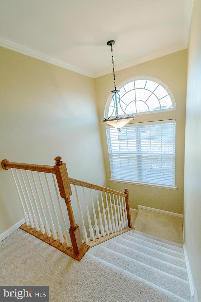 MADDEX FARM - Residential