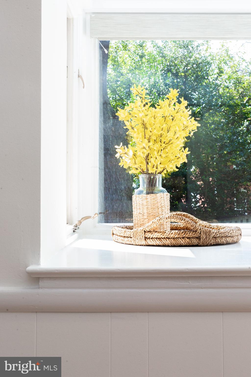 SPRINGFIELD - Residential Lease