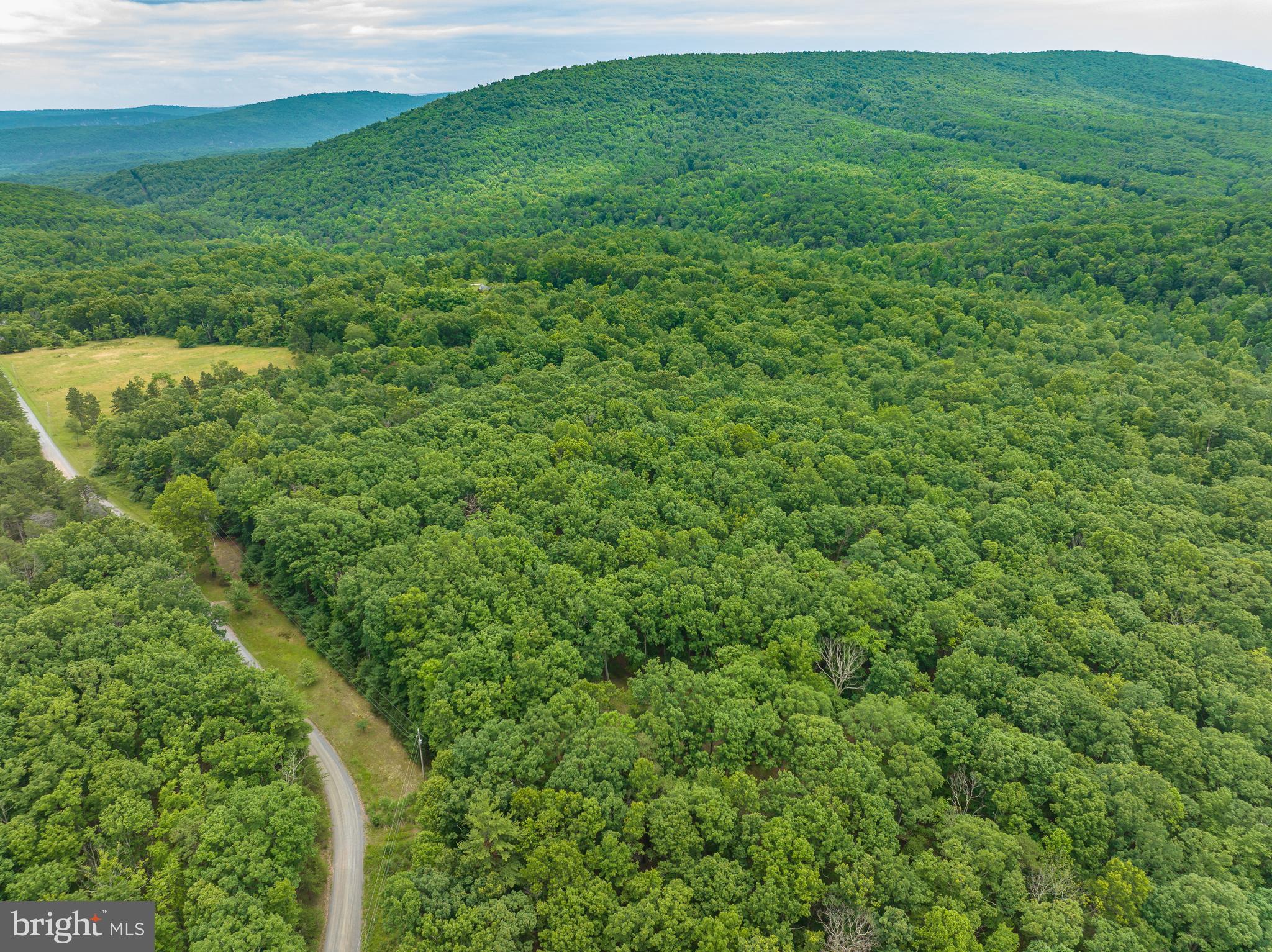 WHISPERING PINES - Land