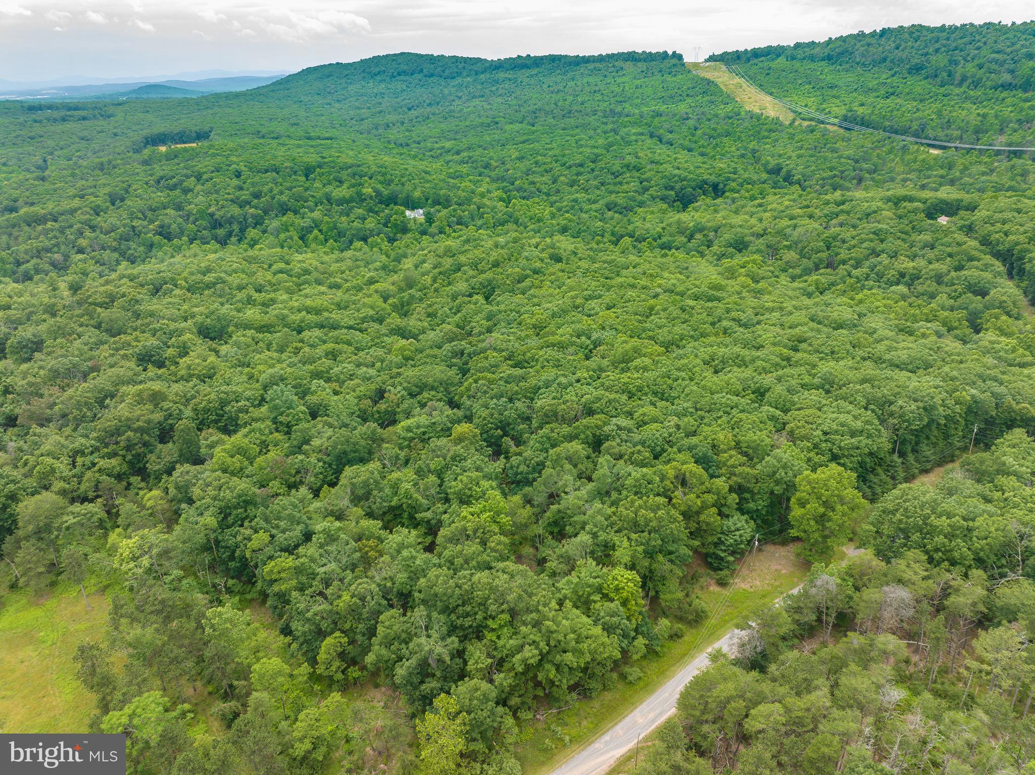 WHISPERING PINES - Land