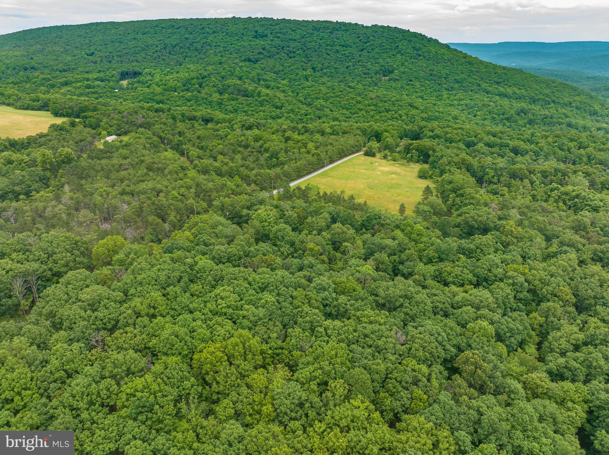 WHISPERING PINES - Land