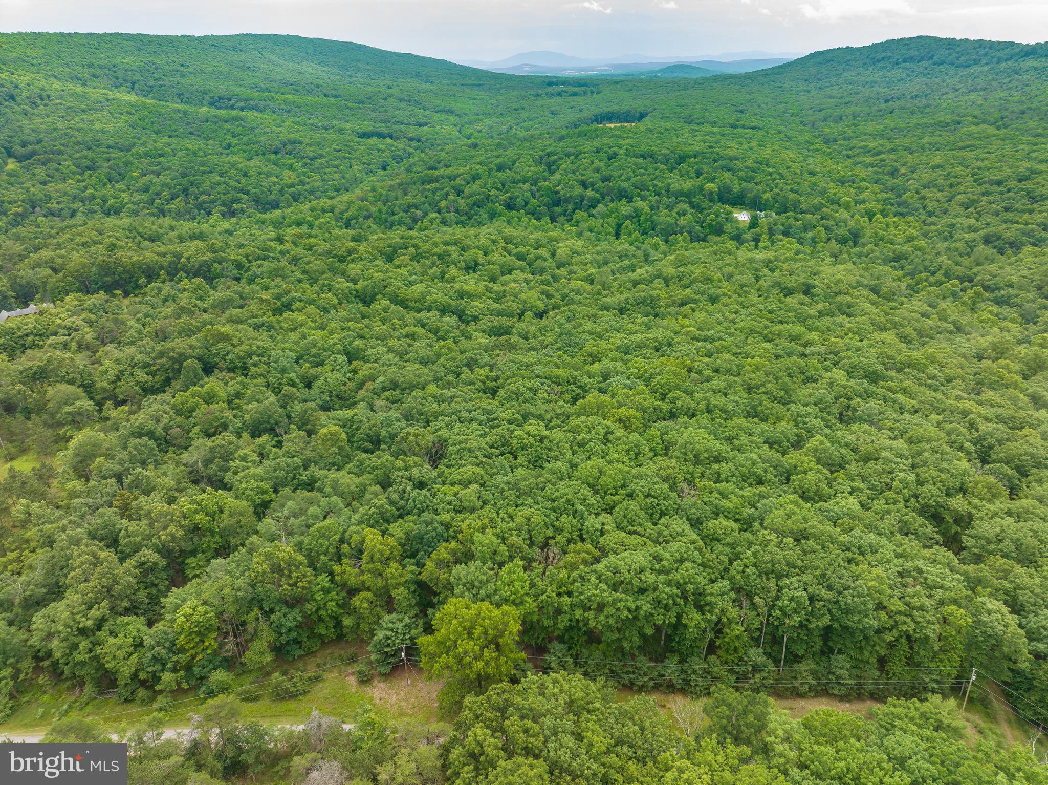 WHISPERING PINES - Land