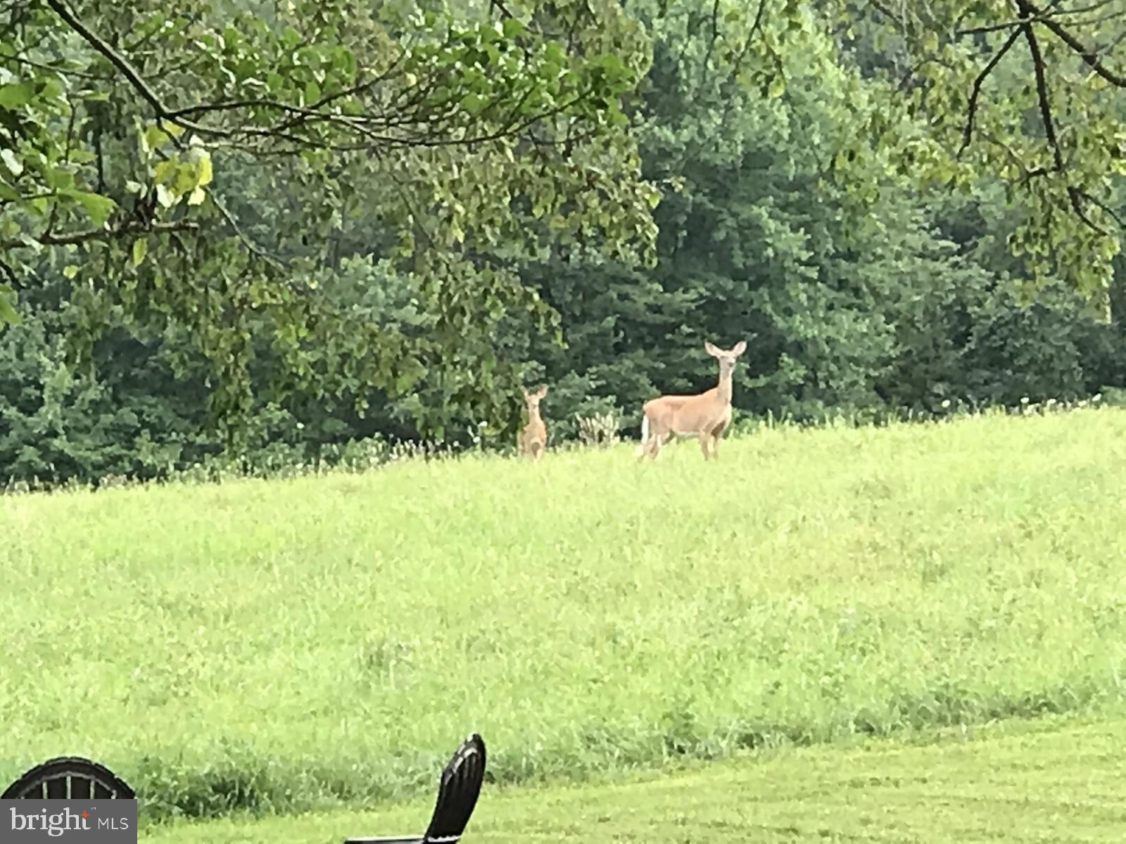 GLEN ARM - Residential