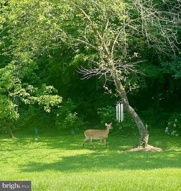 PROVIDENCE - Residential