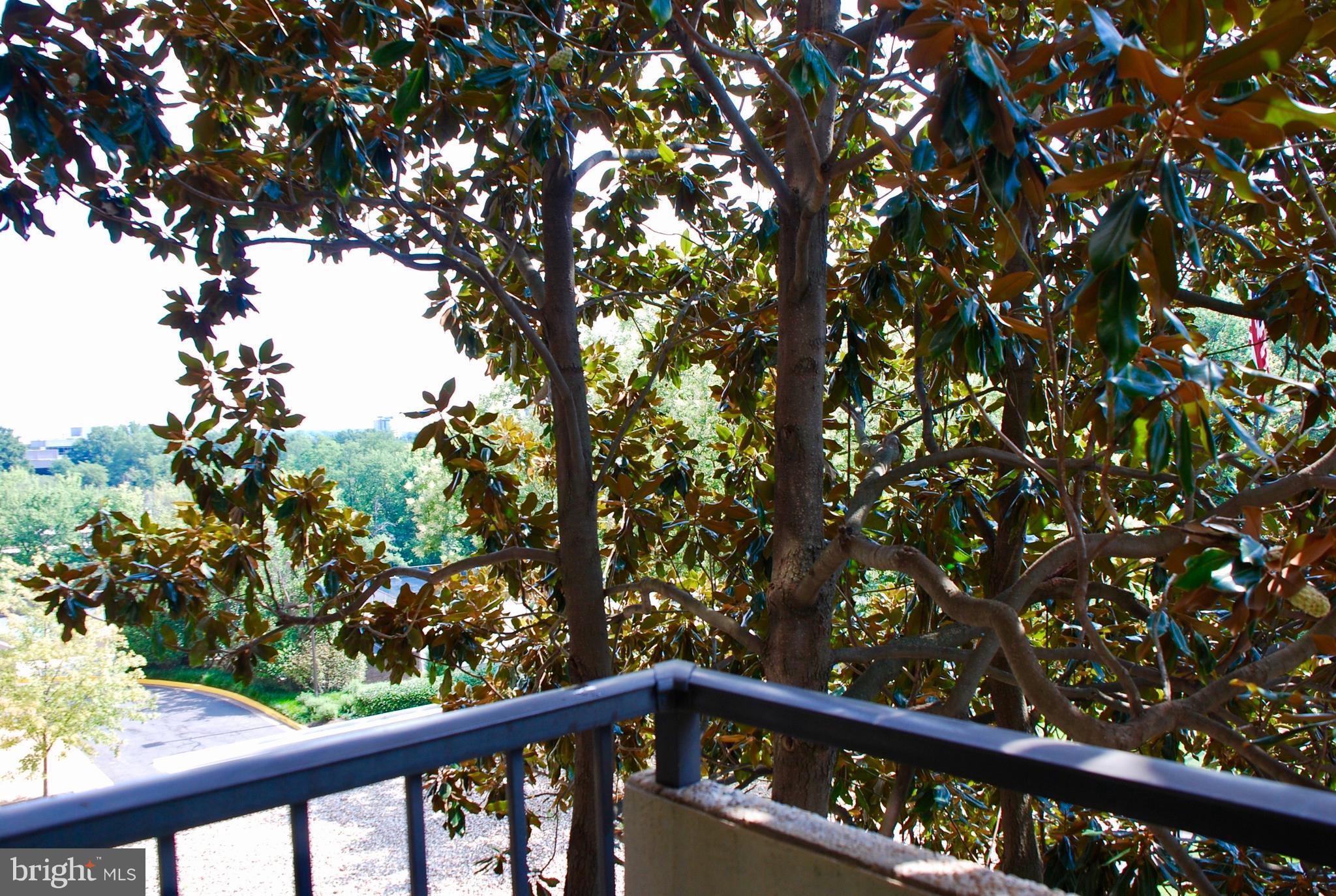 REGENCY AT MCLEAN - Residential Lease