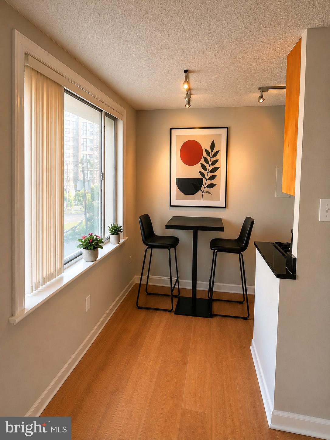 1730 ARLINGTON BOULEVARD 309