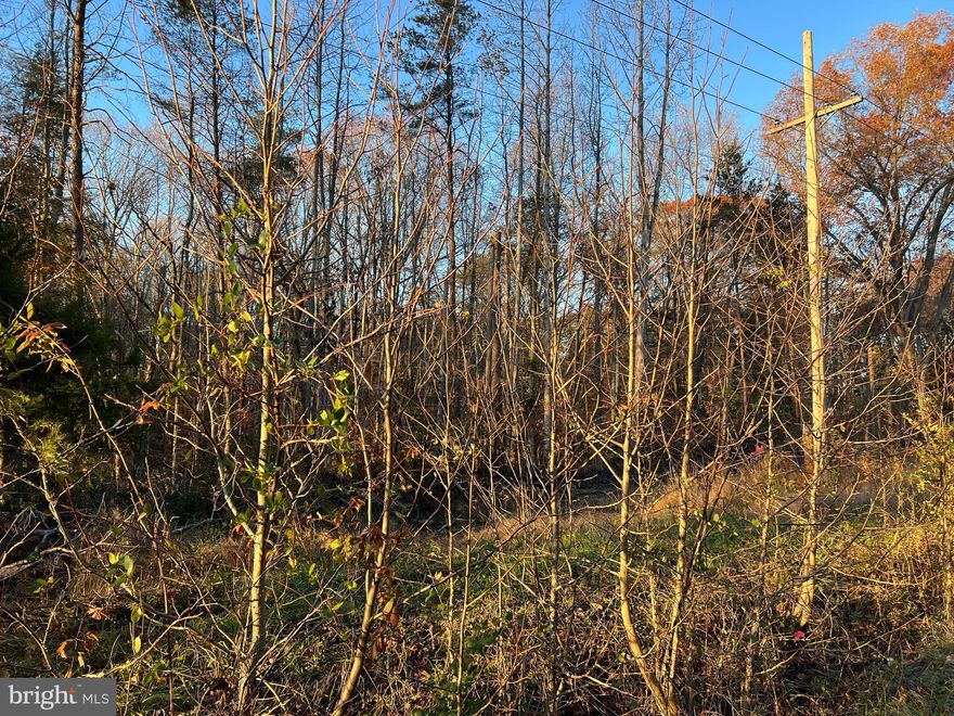 Great perc’ed and septic approved lot in Nanjemoy.  Partly wooded with over 4 acres for a hidden retreat.