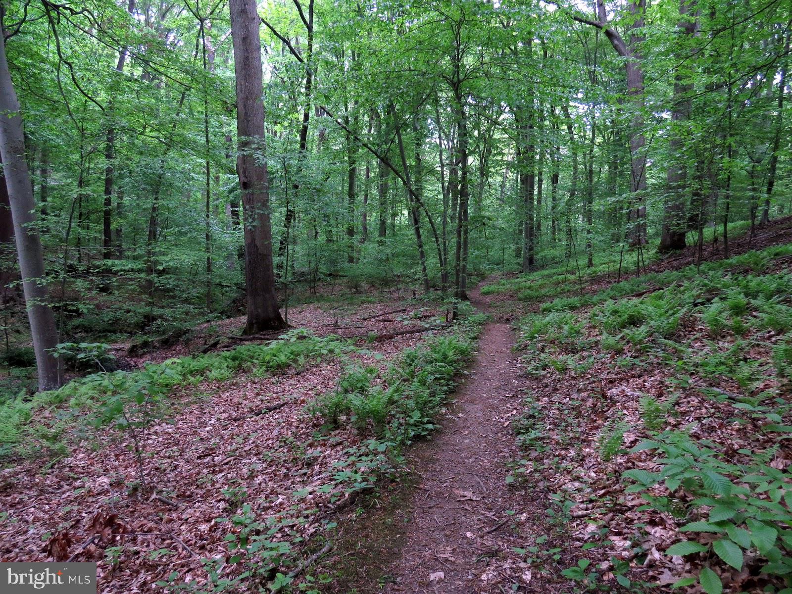 CHARLESTOWN CROSSING - Residential