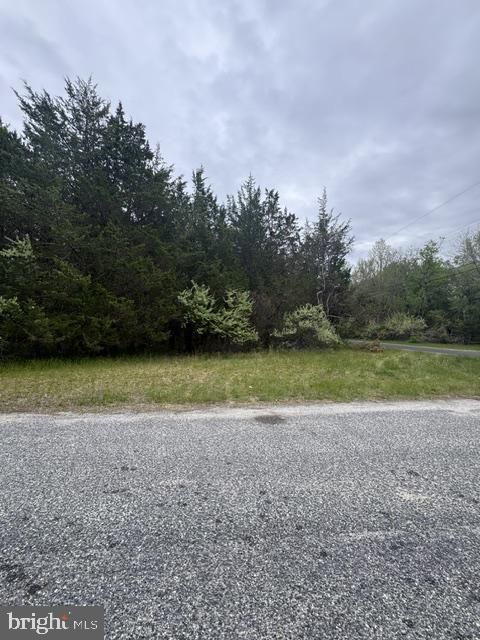 Vacant Land For Sale - Shaffer Avenue<br/> EGG HARBOR CITY, NJ 08215