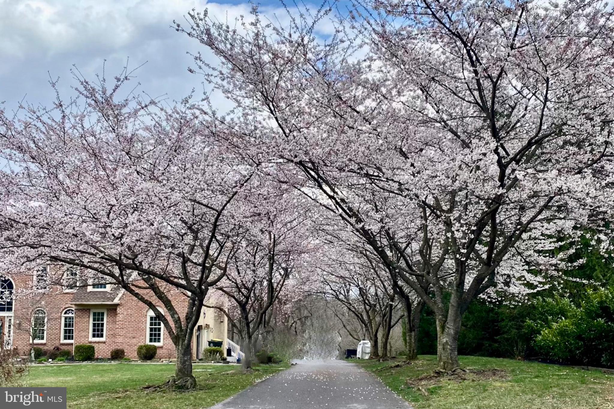 BRANDYWINE RIDGE - Residential