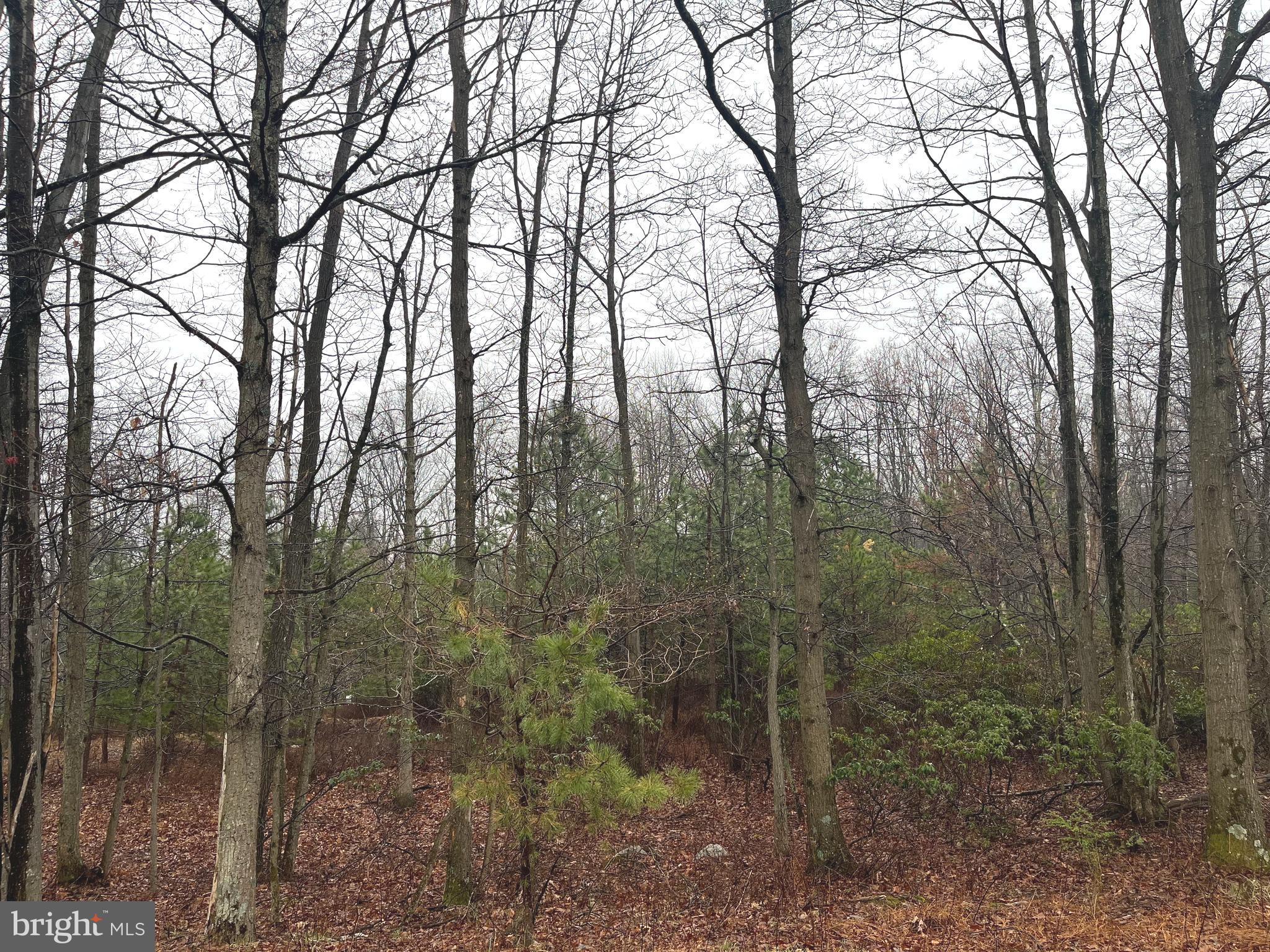 Discover the perfect blend of privacy and potential with this beautiful 1.02-acre wooded lot in the desirable Scarlett Oaks community of Biglerville, PA. Nestled among mature trees, this serene property offers a peaceful retreat while still being close to local conveniences. A 5-gallon-per-minute well is already in place—just bring your vision and start building the home of your dreams!