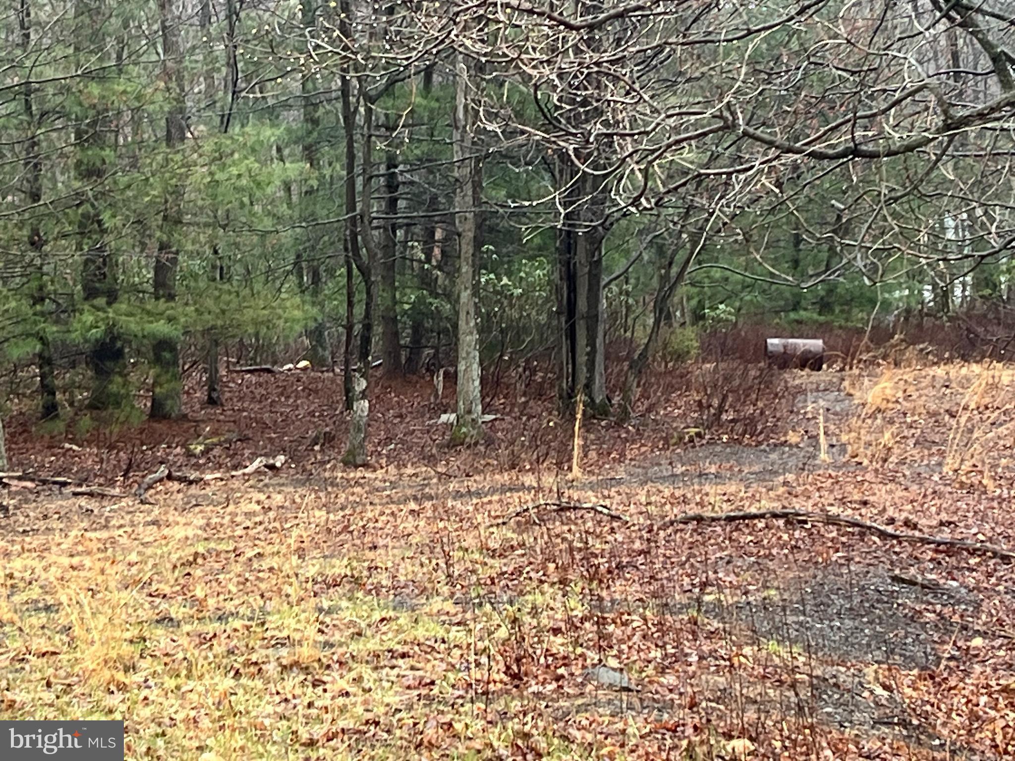 SCARLETT OAKS - Land