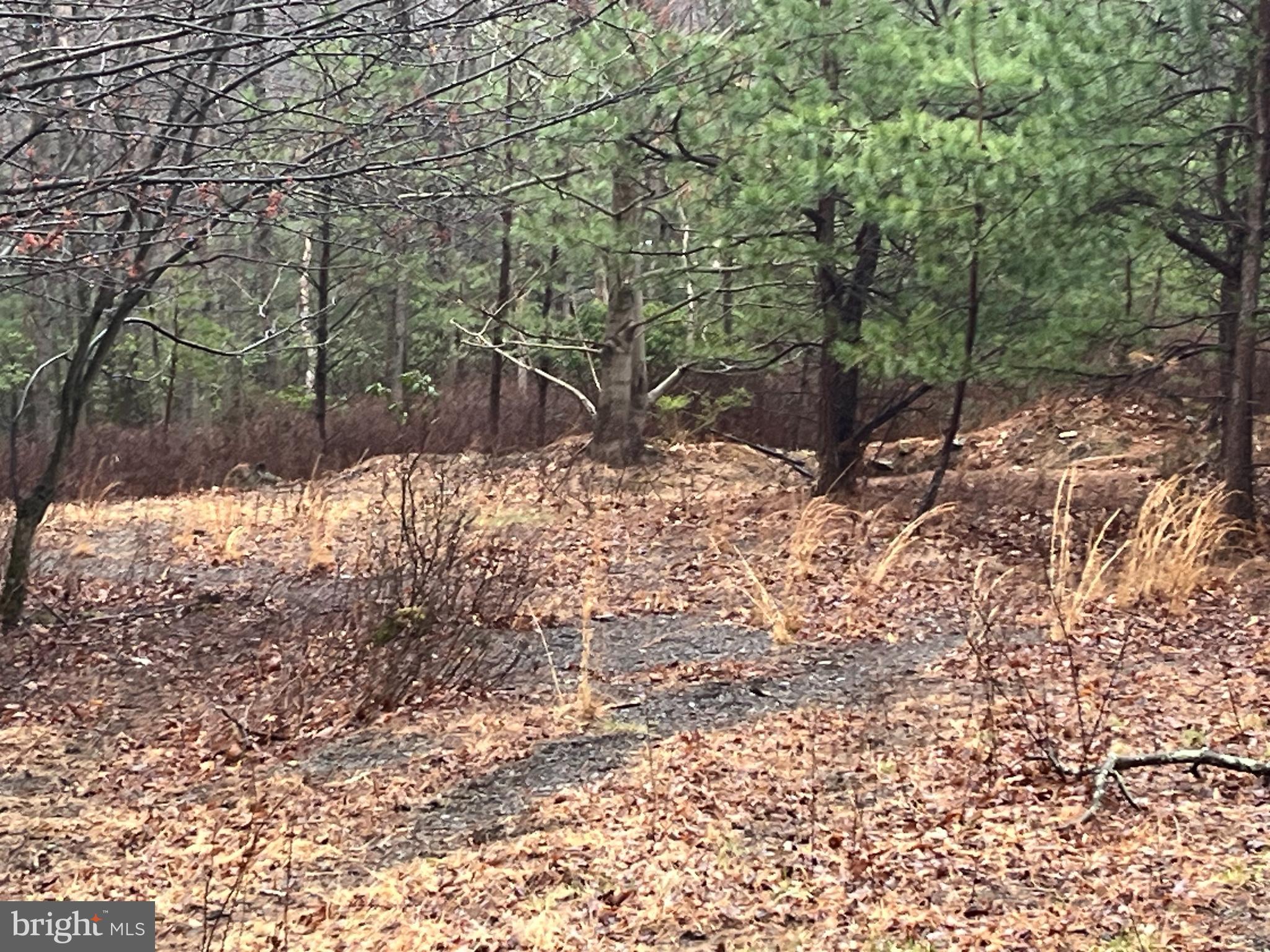 SCARLETT OAKS - Land