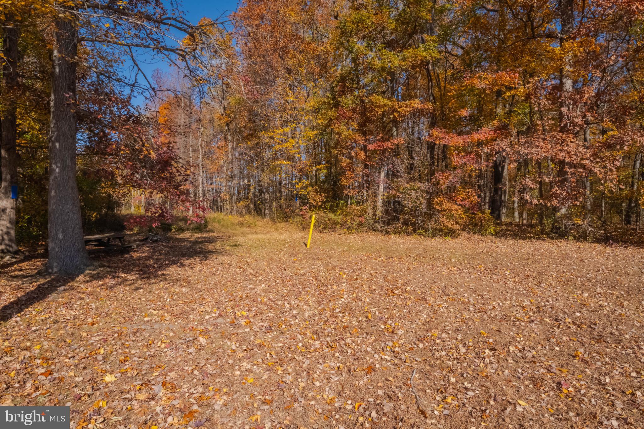 BUSH RIVER MANOR - Residential