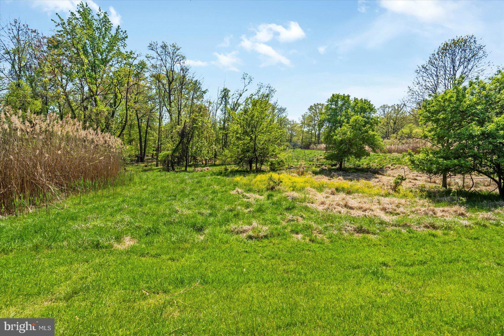 MAYS CHAPEL VILLAGE - Residential