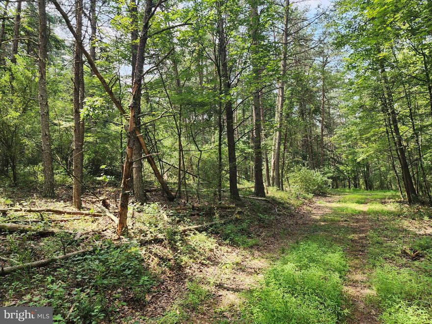 END OF THE ROAD, BUT NOT THE END OF THE WORLD.   PRIVATE AND SECLUDED ON A RIDGE TOP WITH EASY ACCESS AND POTENTIAL VIEWS.  THESE FEATURES SHOULD CHECK A LOT OF BOXES FOR SOMEONE LOOKING TO PURCHASE AFFORDABLE ACREAGE THAT CAN PROVIDE AN ATMOSPHERE OF PEACE AND TRANQUILITY.  ONLY 45 MINUTES FROM WINCHESTER, VA . AND 2.5 HOURS FROM D.C.  THE PARCEL COMES WITH A FLAT AND USABLE TOP, MINIMAL RESTRICTIONS AND NO HOA.  CHECK IT OUT SOON.  THIS ONE MIGHT NOT LAST LONG!