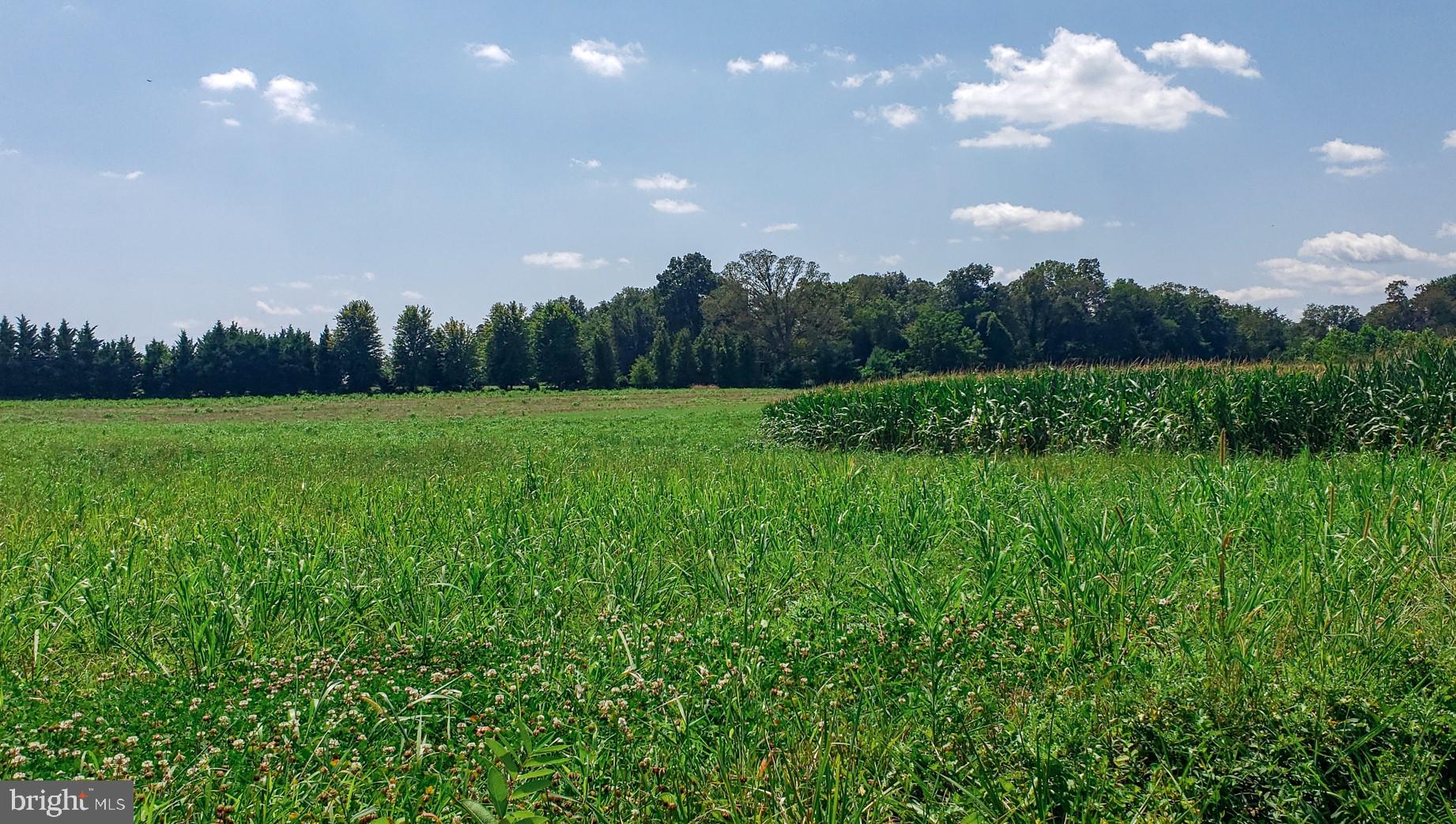 LANDENS RIDGE - Residential