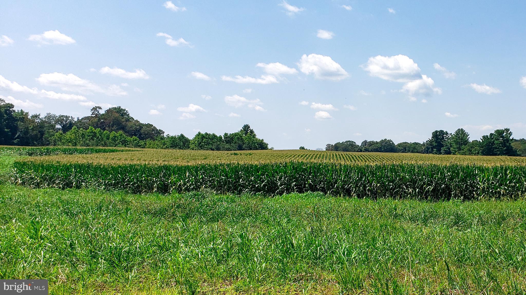 LANDENS RIDGE - Residential