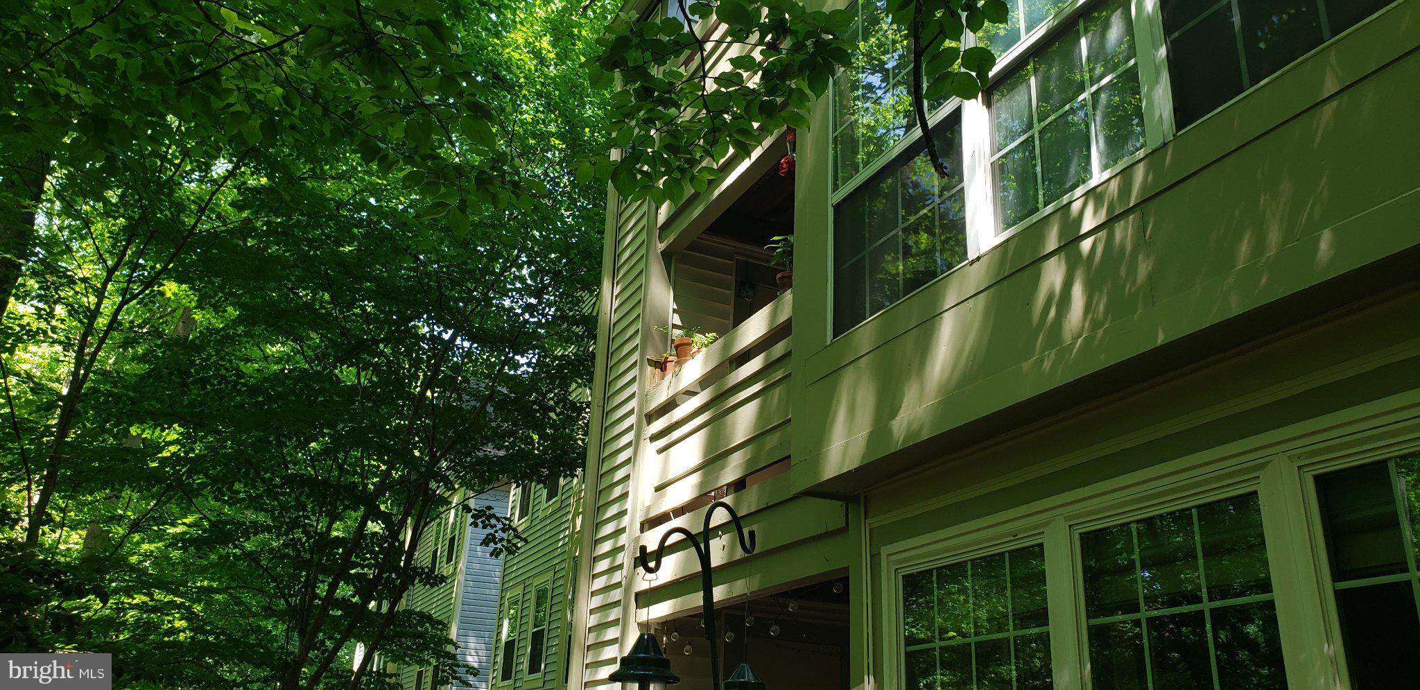 BRISTOL HOUSE - Residential