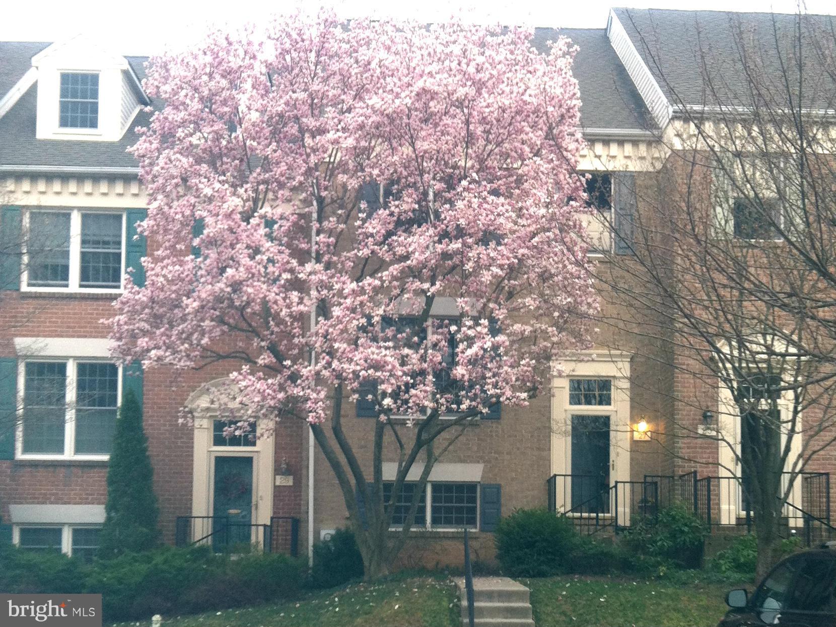 CHAPELGATE - Residential