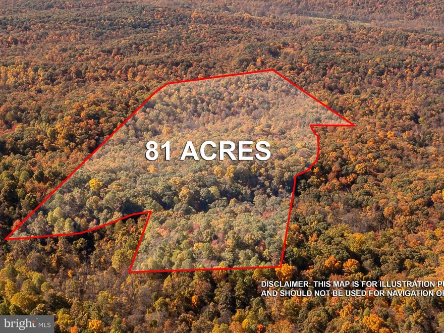 Captivating 81-Acre Woodland Retreat
Immerse yourself in the splendor of this exquisite 81-acre parcel, a haven of tranquility and natural beauty, perfectly complementing the neighboring 98-acre parcel that is for sale as well. This remarkable property presents a unique opportunity to own a vast expanse of dense, mature forests, offering a private and serene setting ideal for a luxurious residence, a secluded retreat, or a conservationist's sanctuary.
As you venture into this enchanting land, you'll be enveloped by a lush canopy of towering trees, creating a peaceful cocoon that shields you from the outside world. The forest is alive with the gentle rustle of leaves and the soft chorus of nature, providing a habitat for diverse wildlife and a personal nature reserve for your enjoyment.
The land's topography is a masterpiece of natural contours, with undulating terrain that adds character and charm to the landscape. This diverse topography opens up endless possibilities for creating secluded home sites, each offering a unique perspective of the forest's ever-changing beauty.
This 81-acre woodland retreat is a place where time slows down, allowing you to reconnect with nature and indulge in the privacy and space that only such a vast property can offer. The dense forest provides natural seclusion, making it an ideal setting for those seeking to create a discreet estate, hidden away from the world yet still within reach of modern conveniences.
Seize the opportunity to make this captivating woodland retreat your own. Whether you dream of a rustic cabin nestled among the trees, a grand architectural masterpiece that blends seamlessly with the natural environment, or a conservation project to protect and enjoy the native flora and fauna, this property is a rare gem that promises a life of peace, privacy, and connection with nature. It's not just land; it's your gateway to a life less ordinary, a sanctuary where you can create your legacy and live your dream amidst the beauty of the forest. Additional Parcel of 98 acres available. See listing Tuscarora Pike Parcel 14.