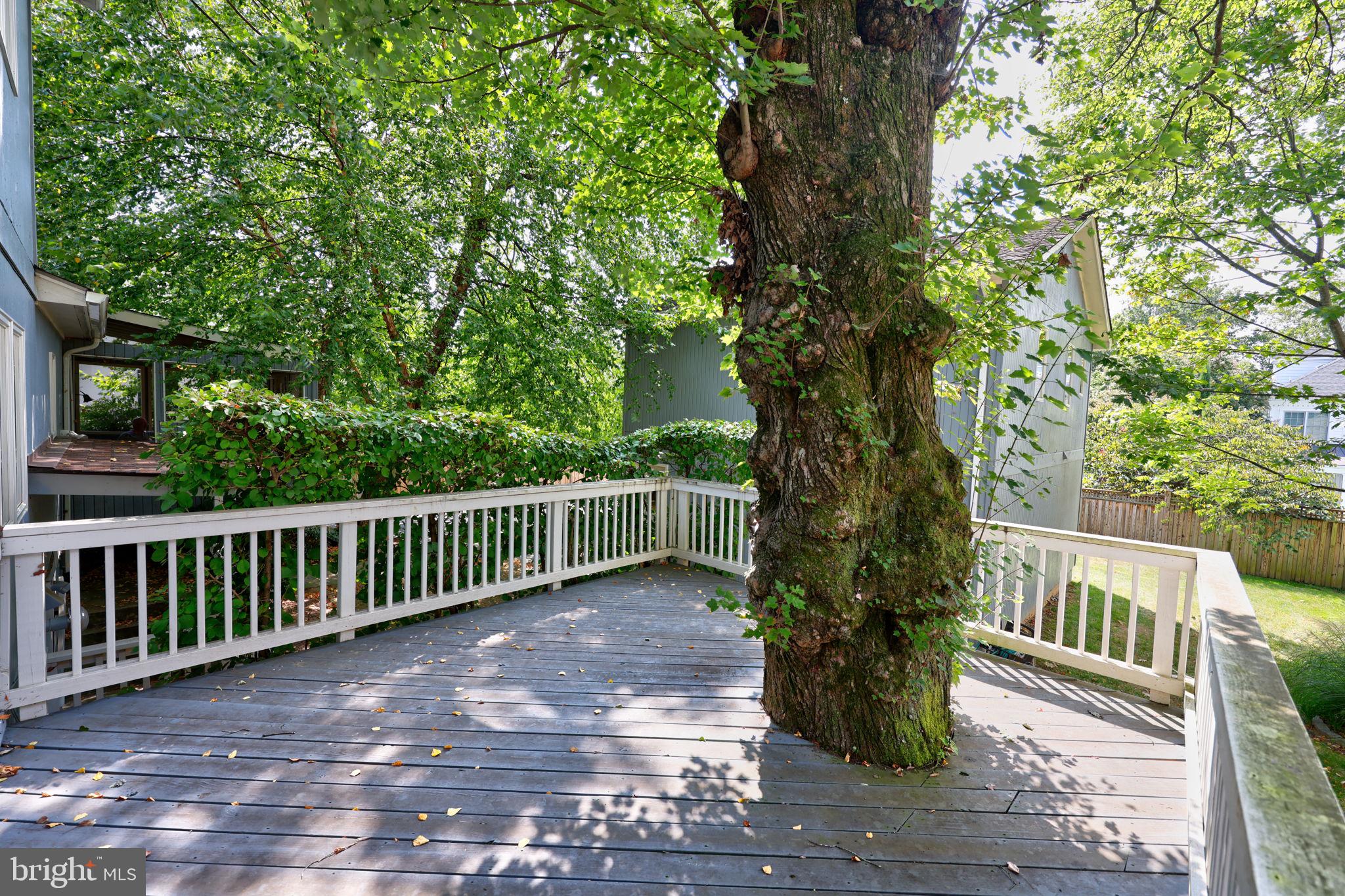 WEST MC LEAN - Residential