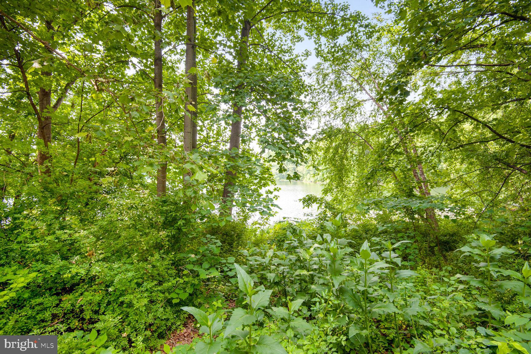 SOUTH SHORE HARBOUR CODM - Residential