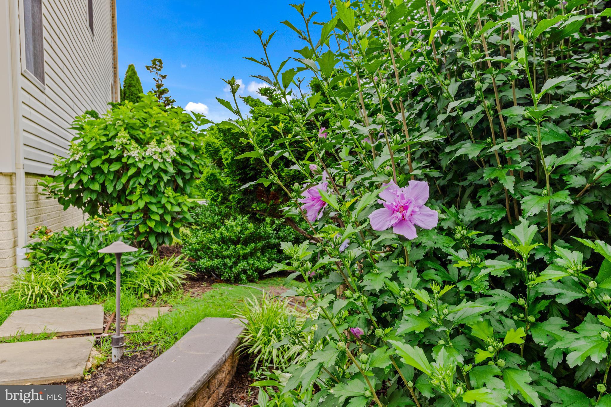 RESERVE AT CAMP CHAPEL - Residential