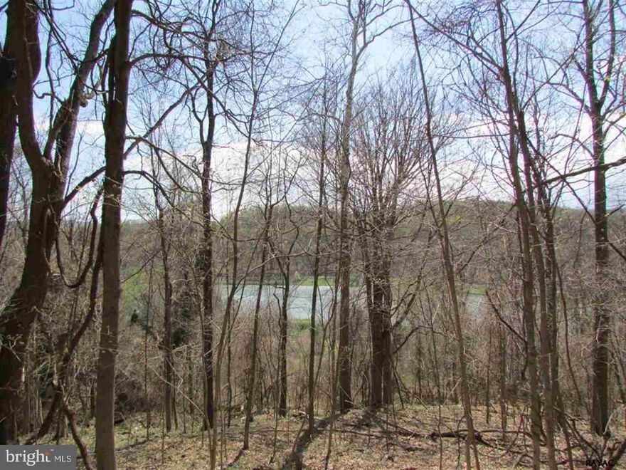 Purchase this property with neighboring lot to build a home overlooking the lake.