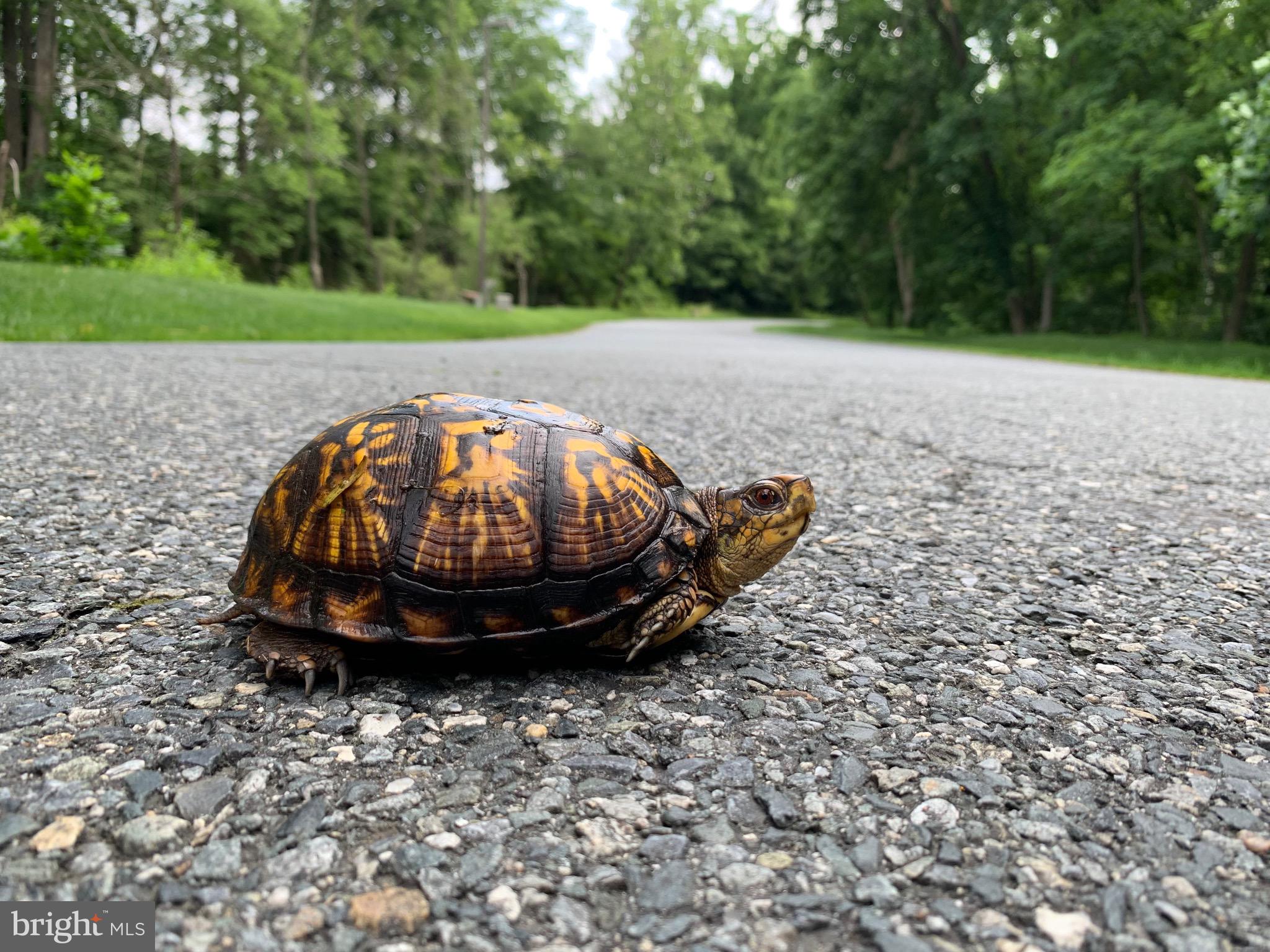NORTH EAST ISLES - Residential