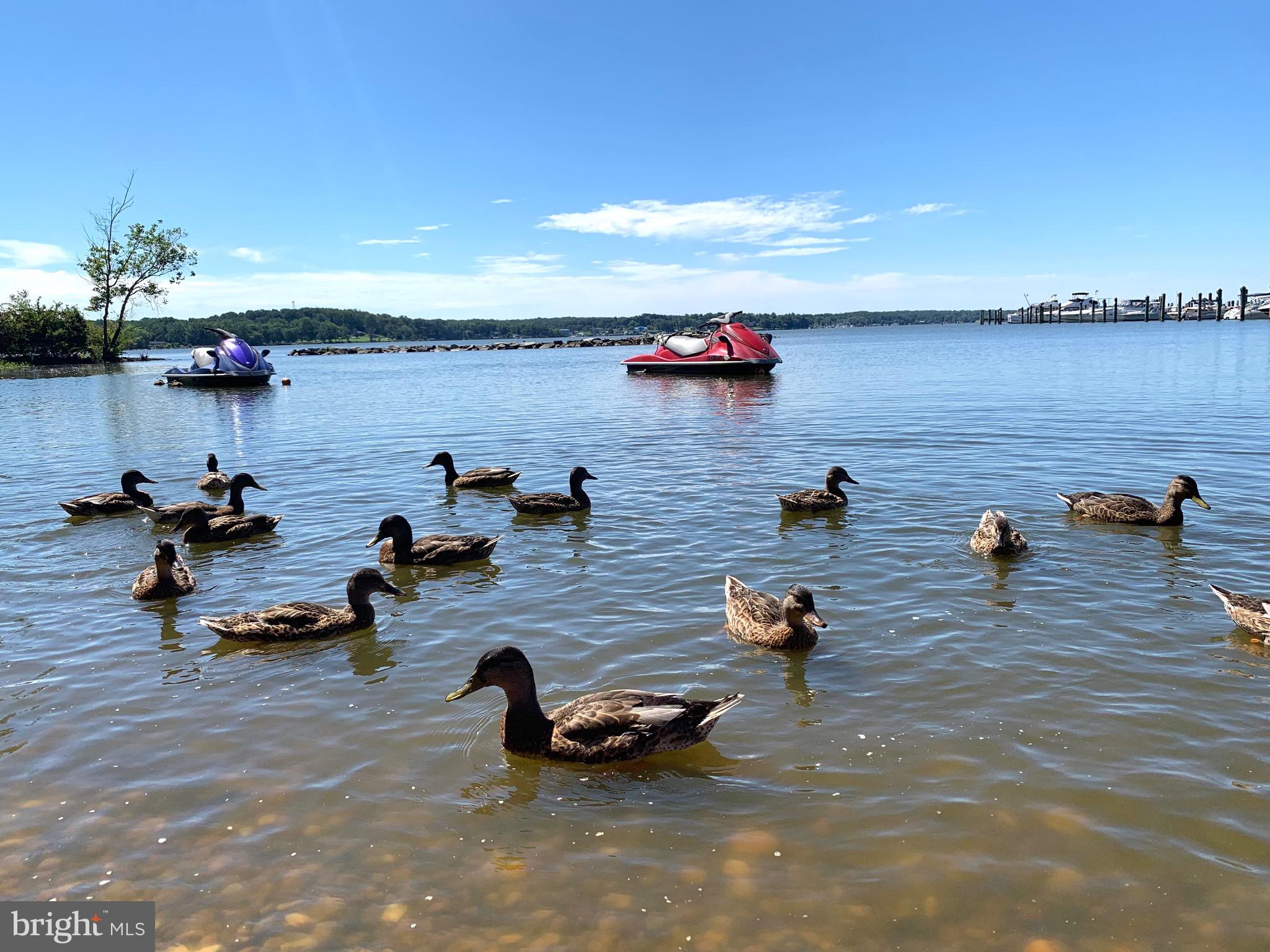 NORTH EAST ISLES - Residential
