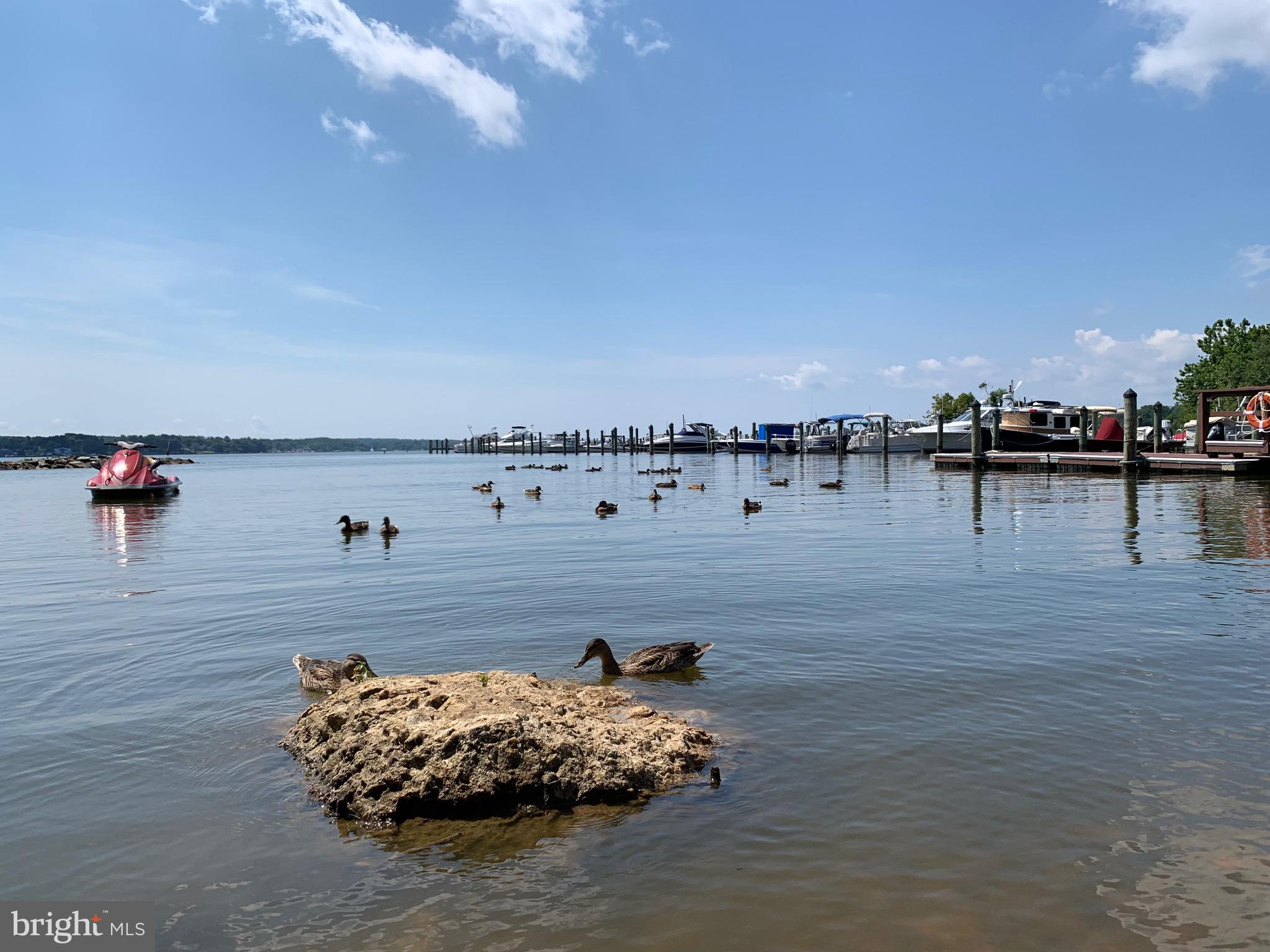 NORTH EAST ISLES - Residential