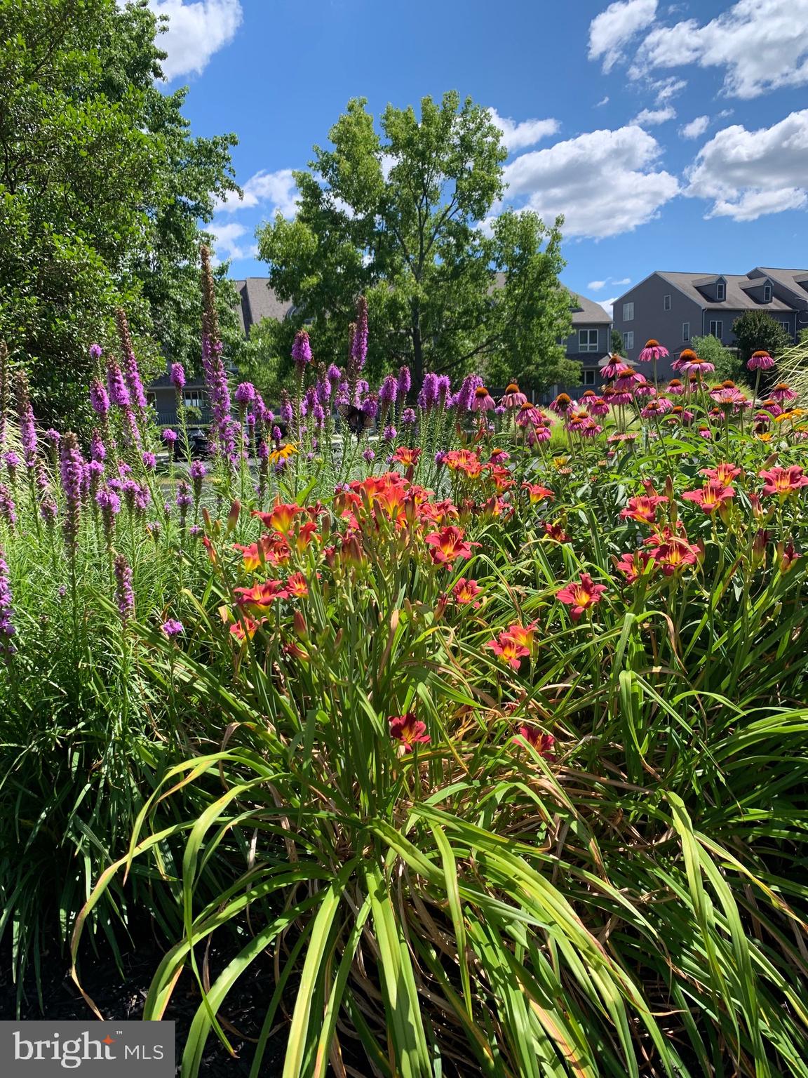 NORTH EAST ISLES - Residential