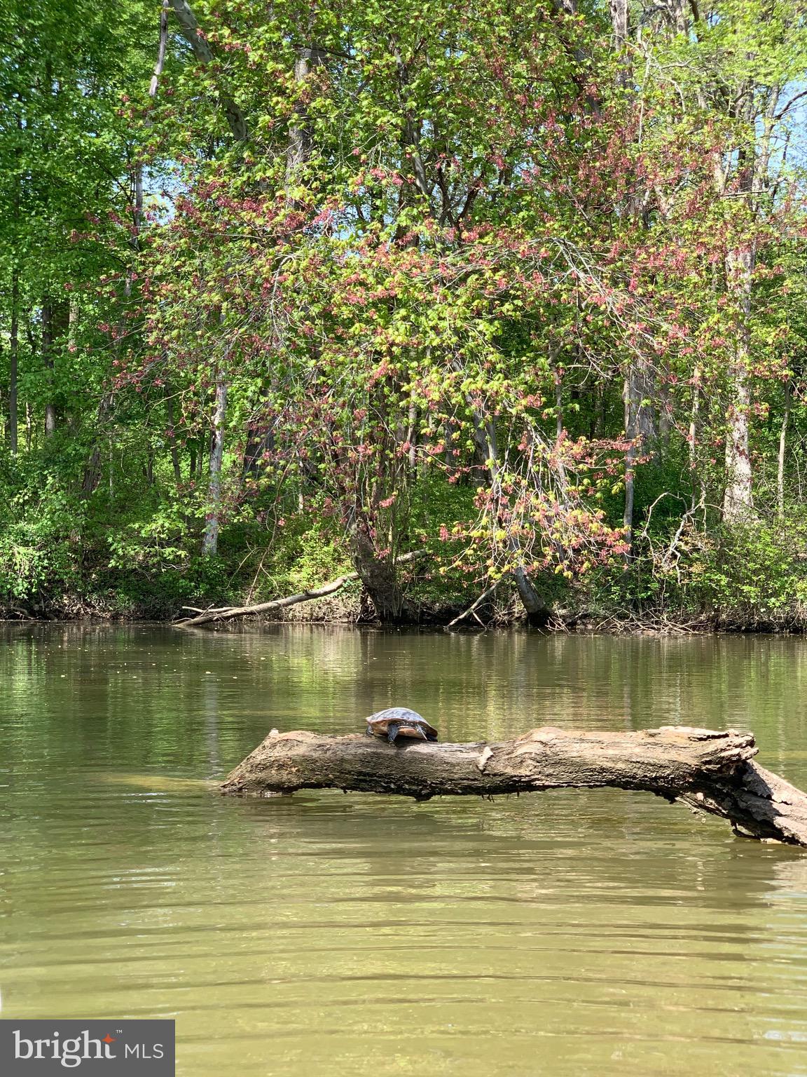 NORTH EAST ISLES - Residential