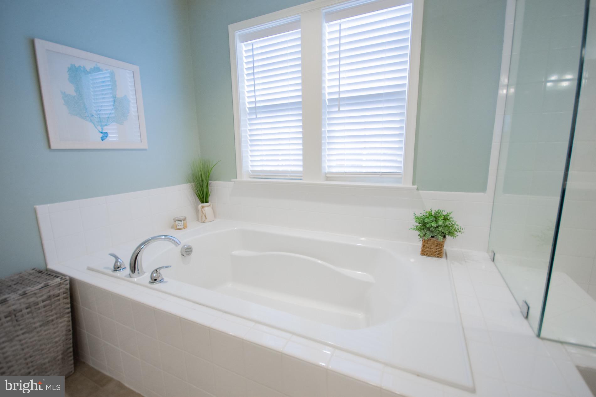 RIDGES OF TUSCARORA - Residential