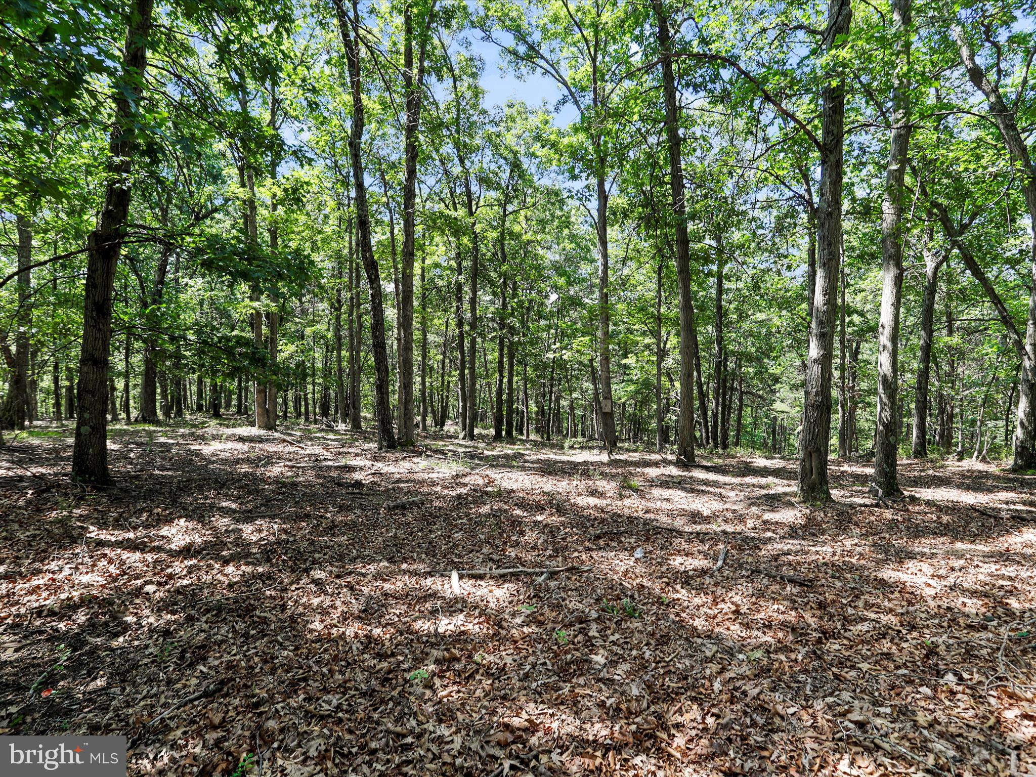 XXXXXXXX - Residential