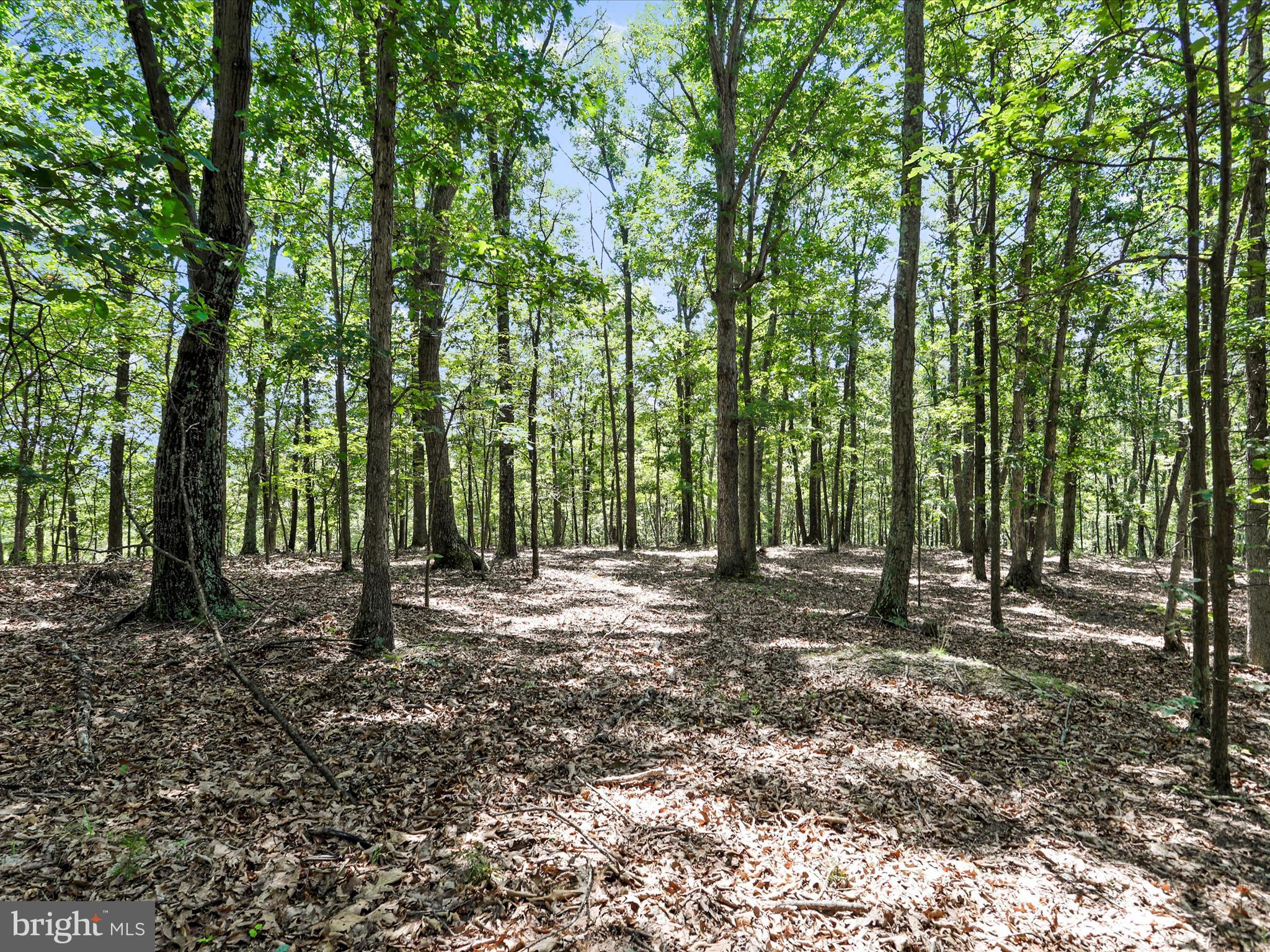 XXXXXXXX - Residential