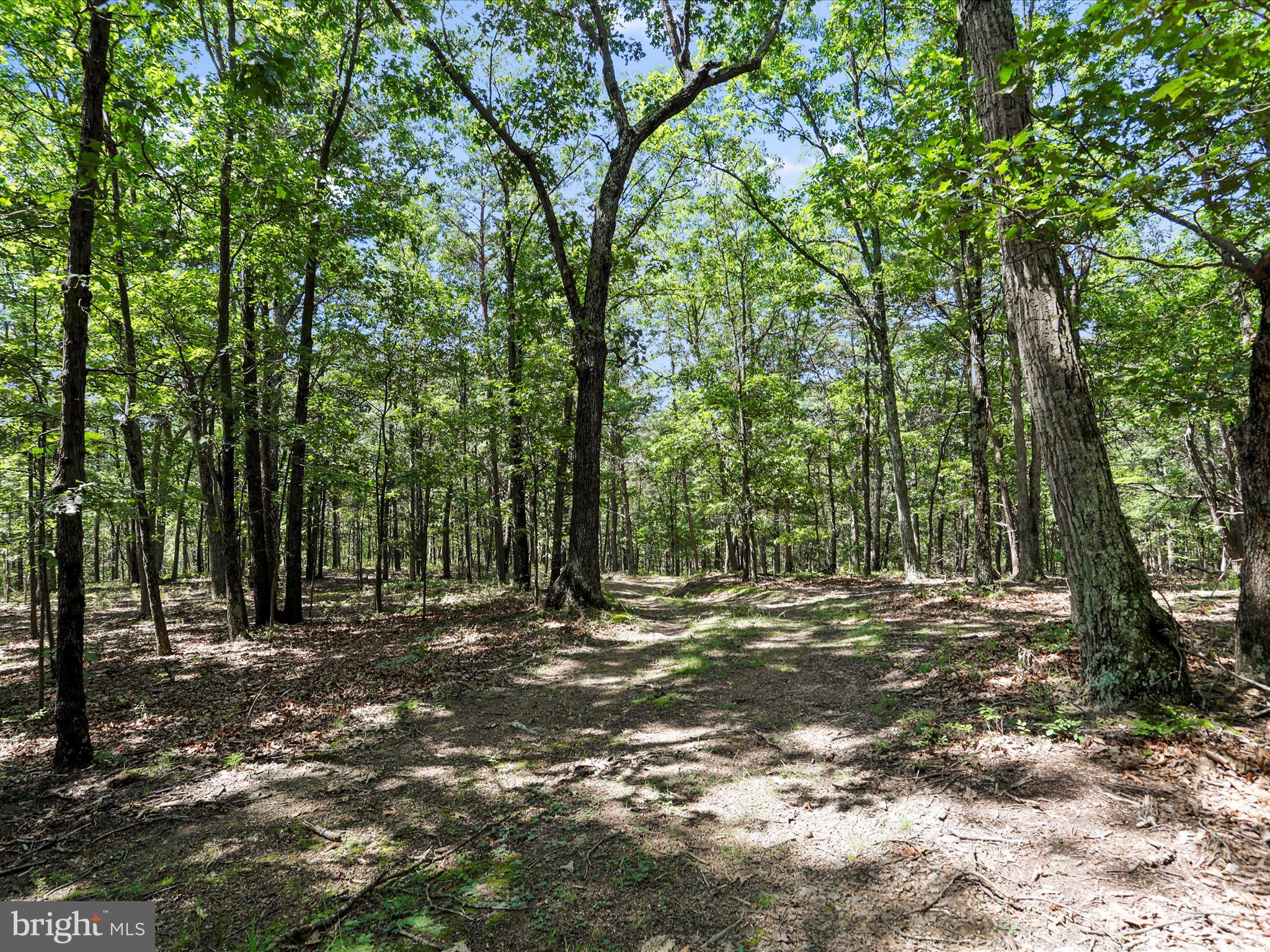 XXXXXXXX - Residential