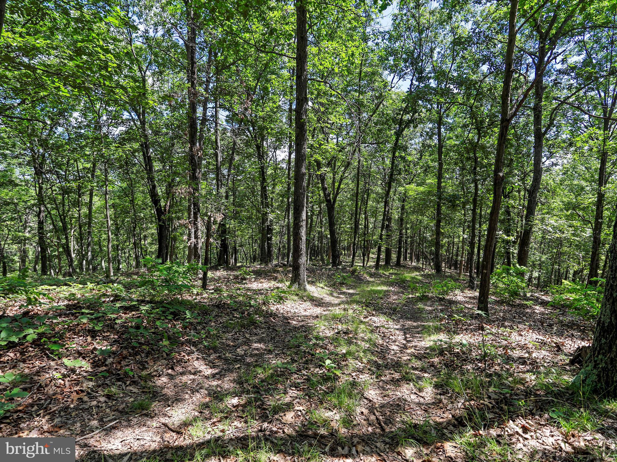 XXXXXXXX - Residential