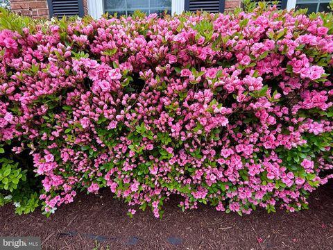 Tiny photo for 6160 Lucas Pond Court, BURKE, VA 22015 (MLS # VAFX2308166)