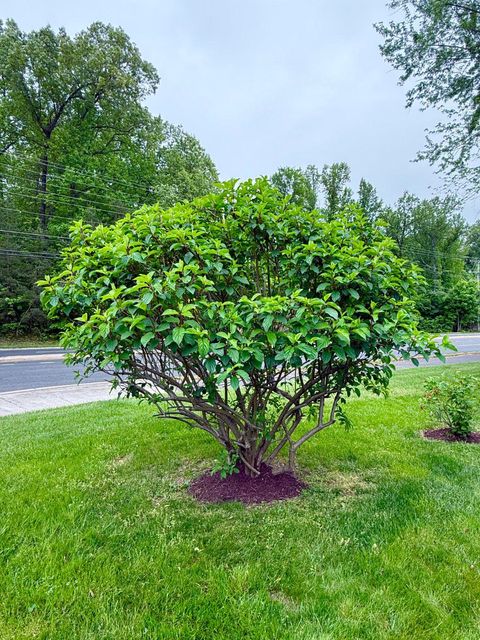Tiny photo for 6160 Lucas Pond Court, BURKE, VA 22015 (MLS # VAFX2308166)