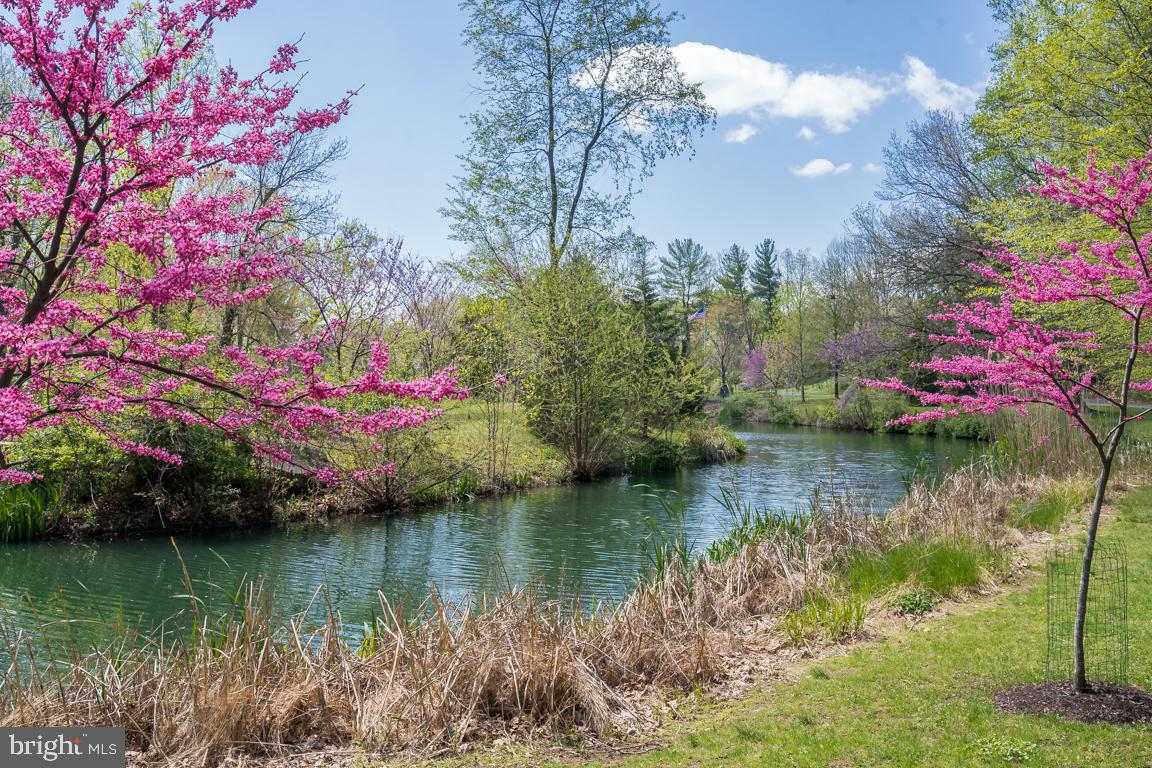 FALLSMEAD - Residential