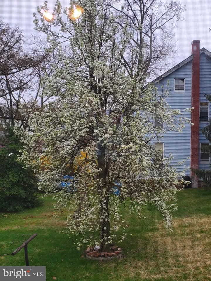 MARYSVILLE BORO - Residential